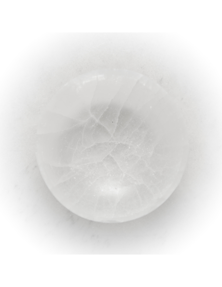 copy of 